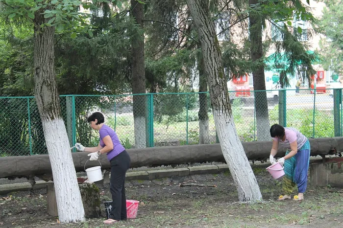 На фото: районный субботник